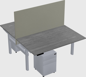 Shared electric desk