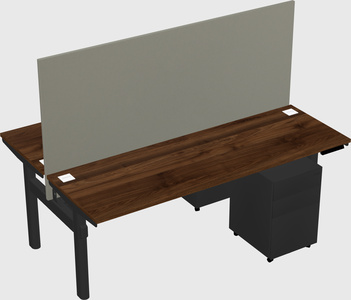 Shared electric desk