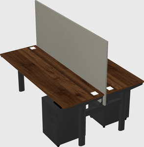 Shared electric desk
