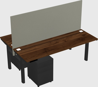 Shared electric desk