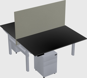 Shared electric desk