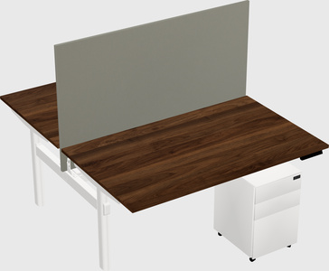 Shared electric desk