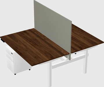 Shared electric desk