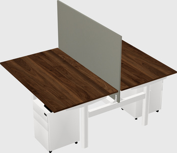 Shared electric desk