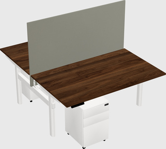 Shared electric desk