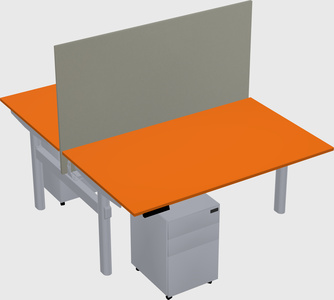 Shared electric desk