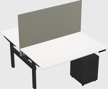 Shared electric desk