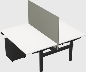 Shared electric desk