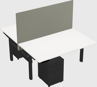 Shared electric desk