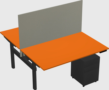 Shared electric desk