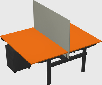 Shared electric desk