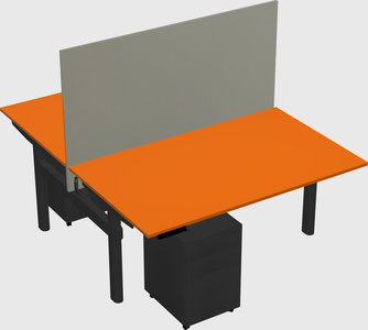 Shared electric desk