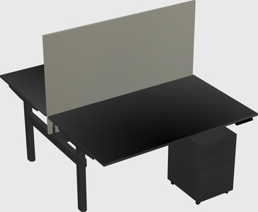 Shared electric desk