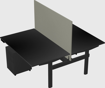 Shared electric desk