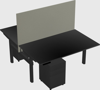 Shared electric desk