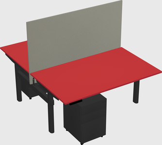 Shared electric desk