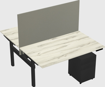 Shared electric desk