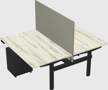 Shared electric desk
