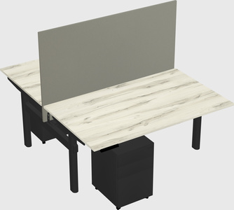 Shared electric desk