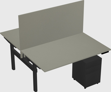 Shared electric desk