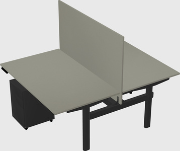 Shared electric desk