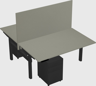 Shared electric desk