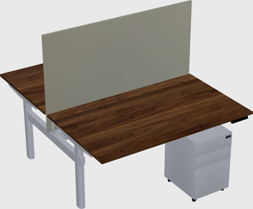 Shared electric desk