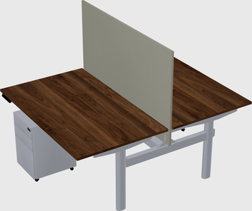 Shared electric desk