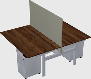Shared electric desk