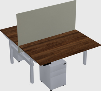 Shared electric desk