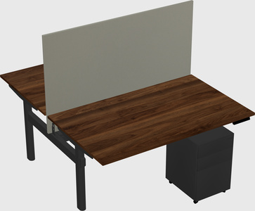 Shared electric desk