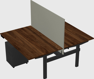 Shared electric desk