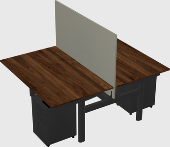 Shared electric desk