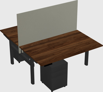 Shared electric desk