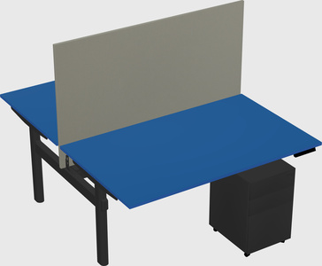 Shared electric desk