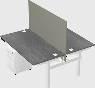 Shared electric desk