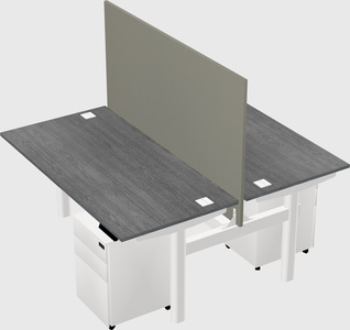 Shared electric desk