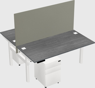 Shared electric desk