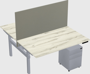 Shared electric desk