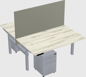 Shared electric desk