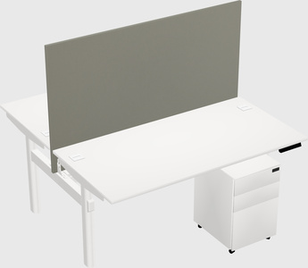 Shared electric desk