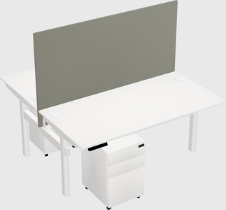 Shared electric desk