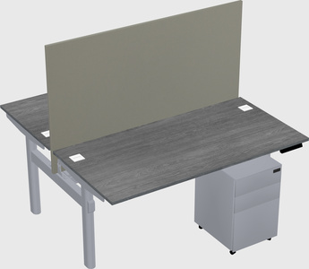 Shared electric desk