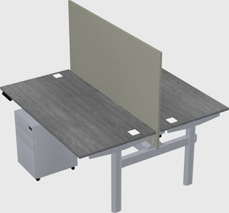 Shared electric desk