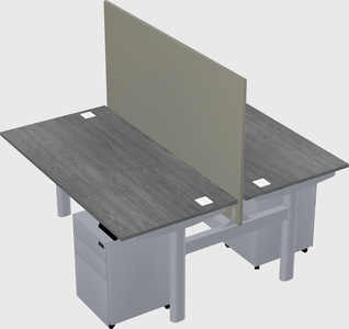 Shared electric desk