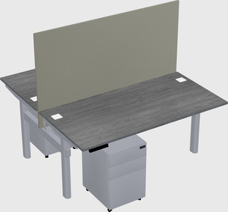 Shared electric desk