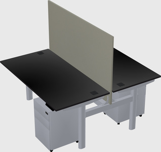 Shared electric desk