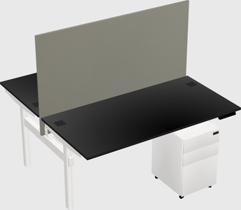 Shared electric desk