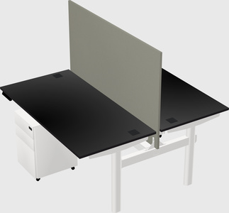 Shared electric desk