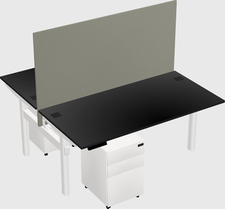 Shared electric desk